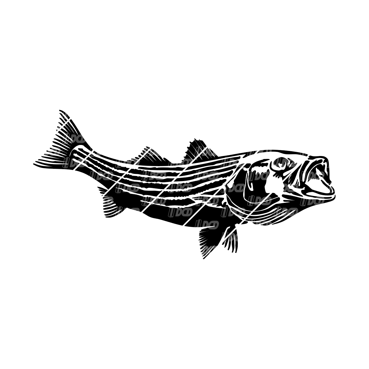 Striped Bass Decal
