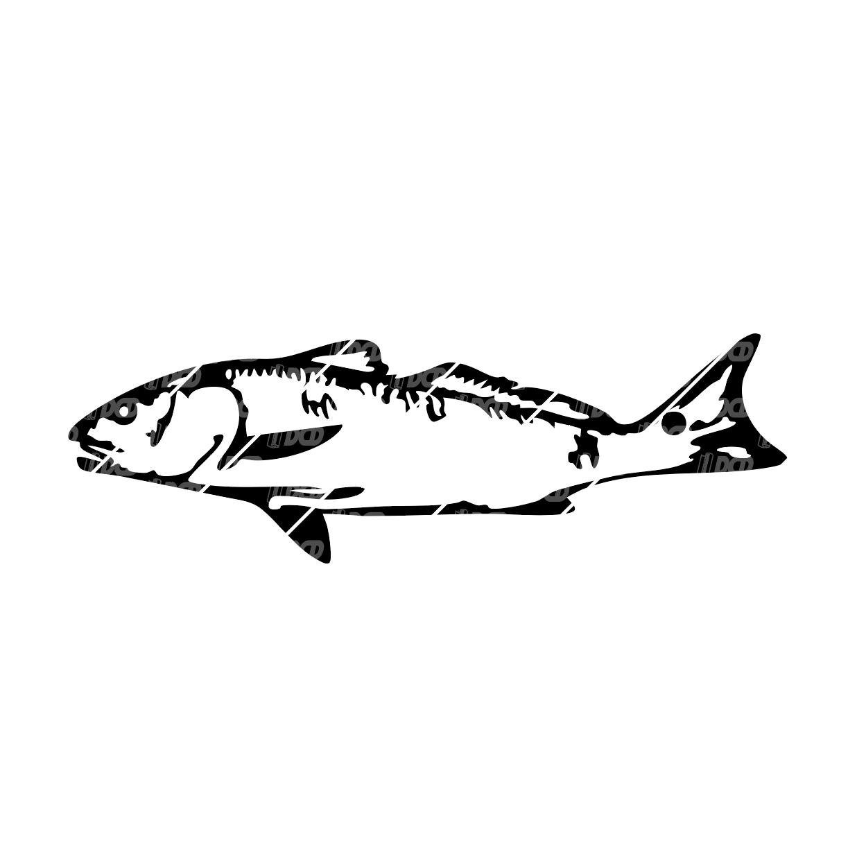 Redfish Decal