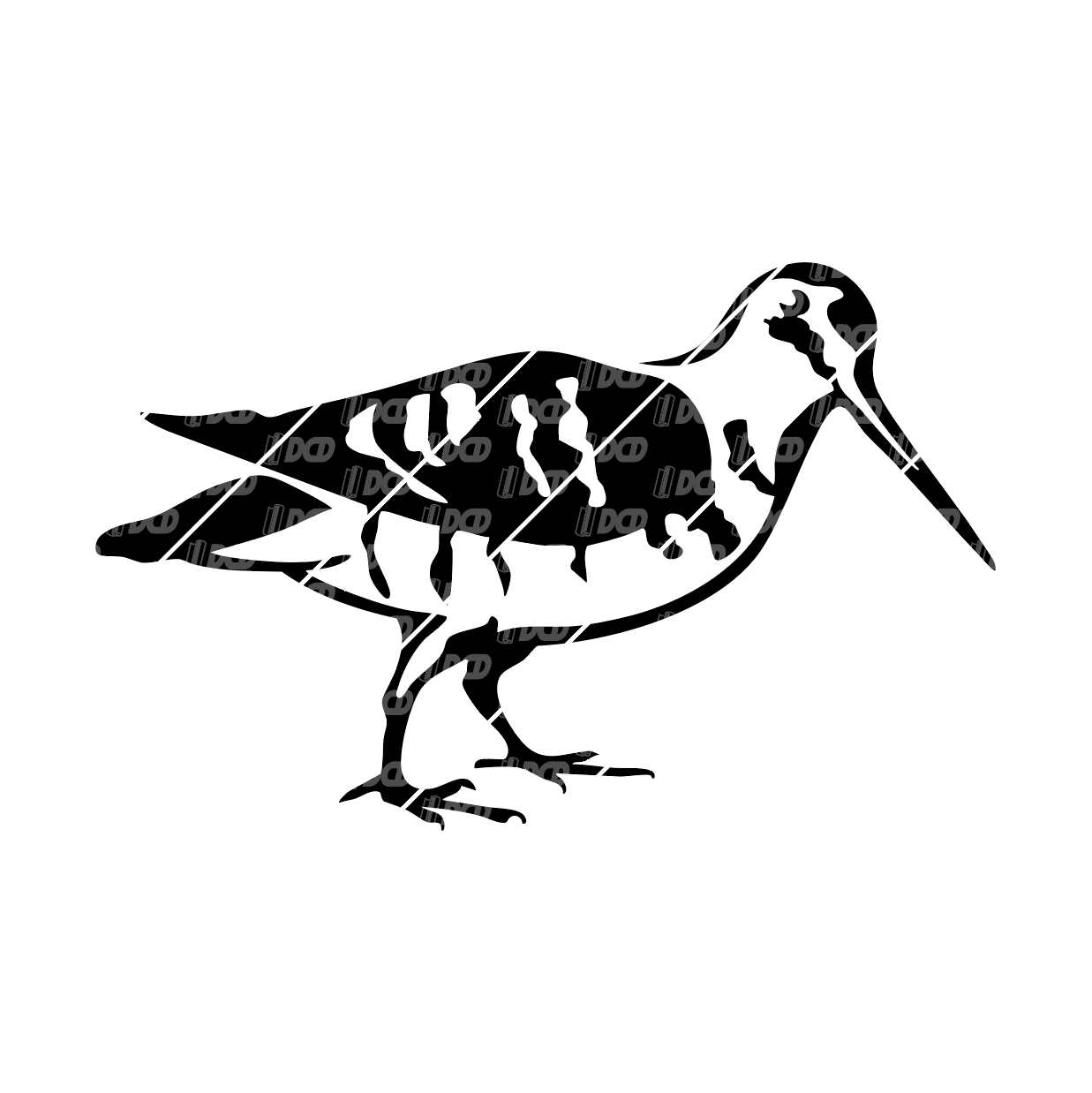 Woodcock Decal