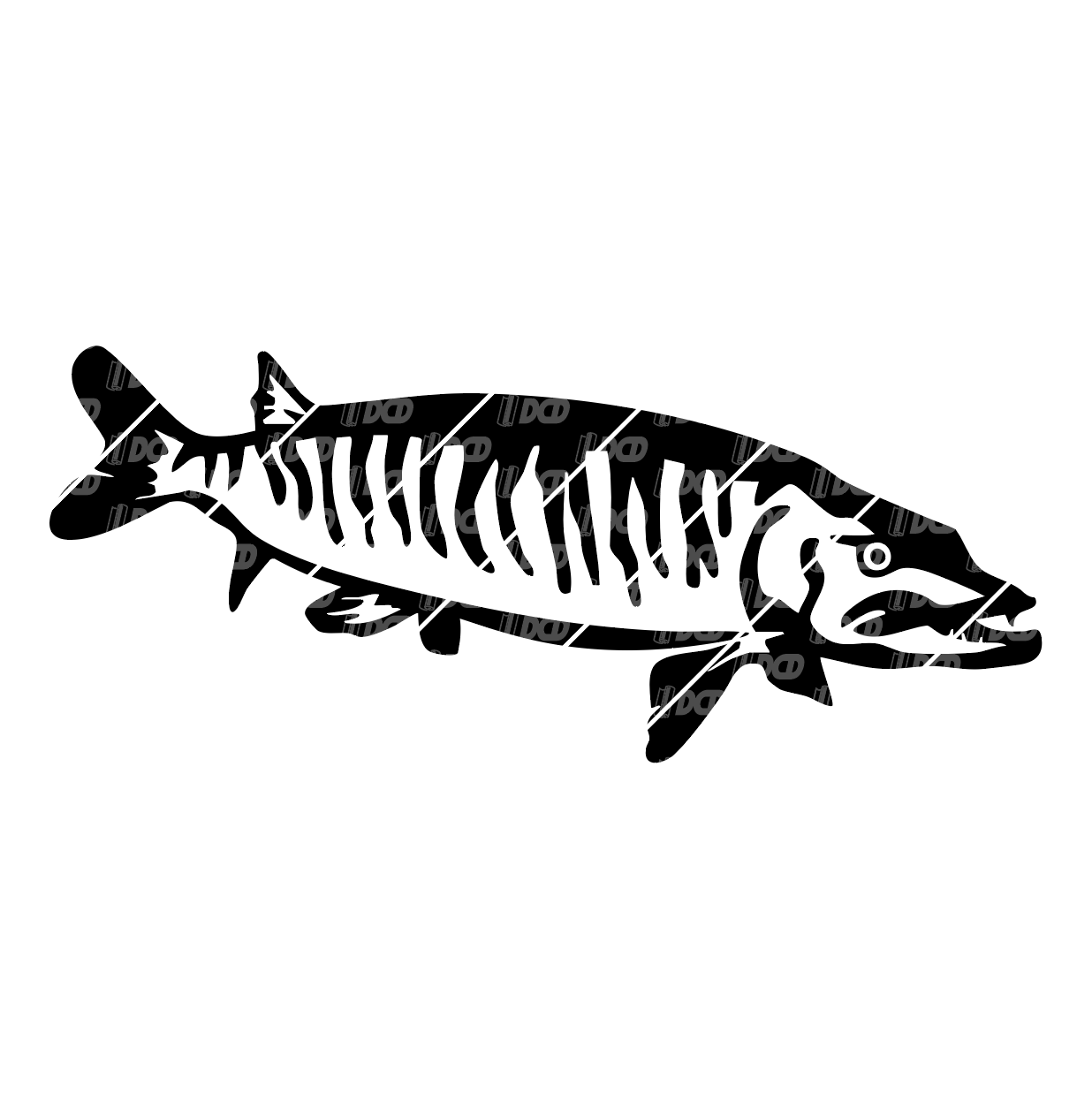 Muskie Decal